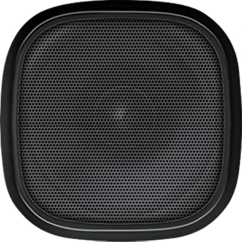 Speaker