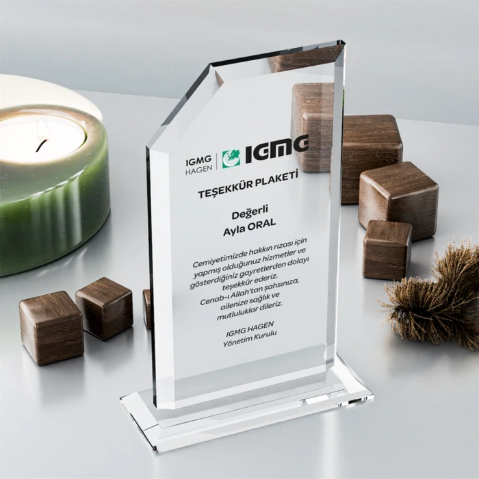 MS-304 Kristal Plaket