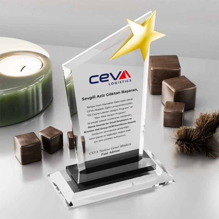 MS-356 Kristal Plaket