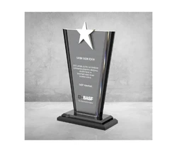 MS-602 Kristal Plaket