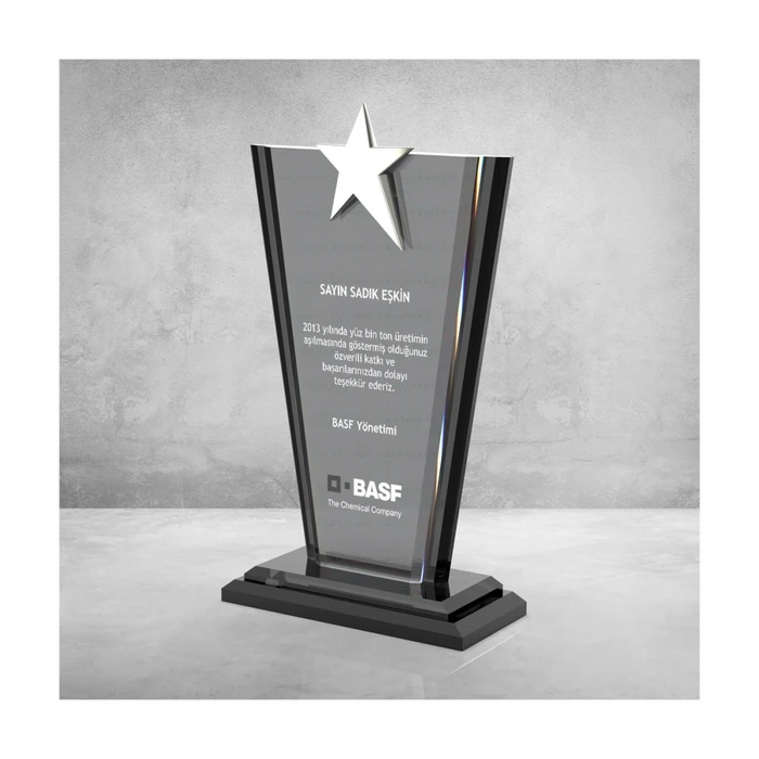 MS-602 Kristal Plaket