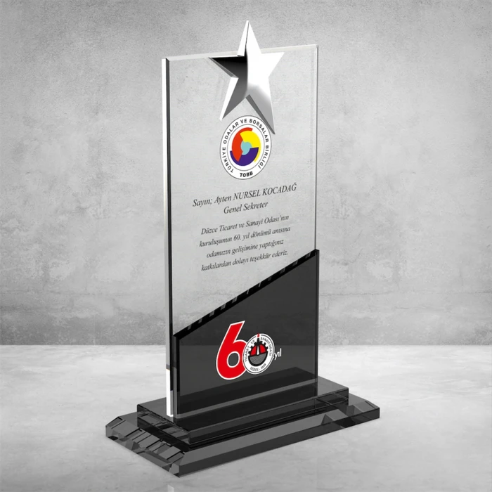 MS-604 Kristal Plaket