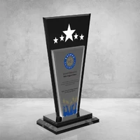 MS-605 Kristal Plaket