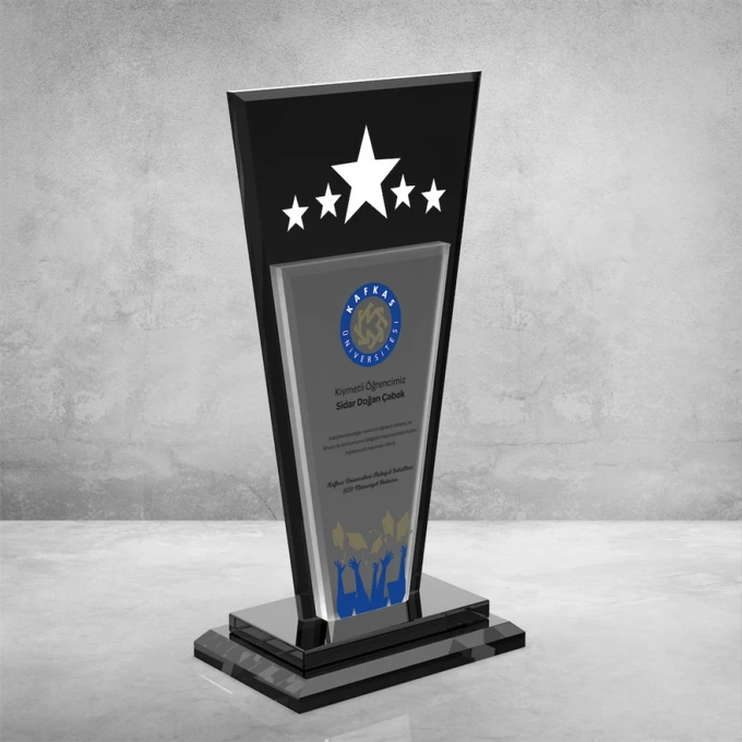 MS-605 Kristal Plaket