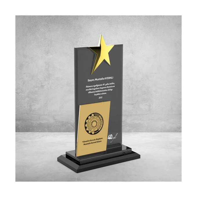 MS-608 Kristal Plaket