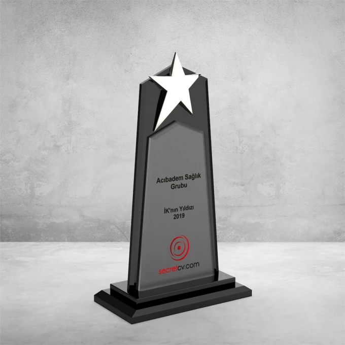 MS-609 Kristal Plaket