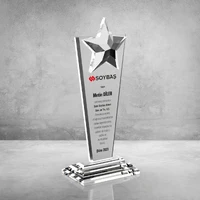 MS-610 Kristal Plaket