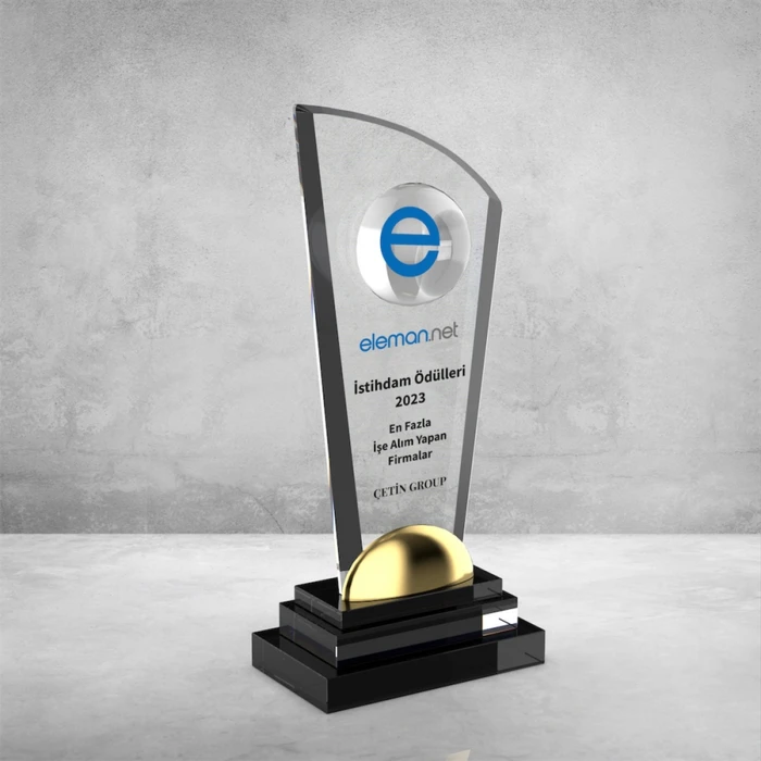 MS-704 Kristal Plaket